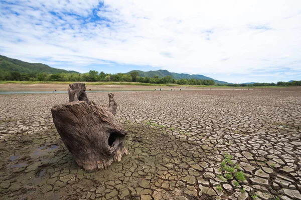 Land Mit Trockenem Und Rissigem Boden Weil Trockenheit Globale Erwärmung lizenzfreie Stockfotos