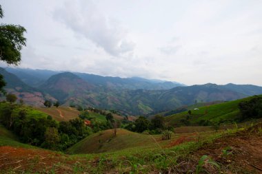 Tarım, toprağı yüksek dağlara dikmek için hazırlıyor.