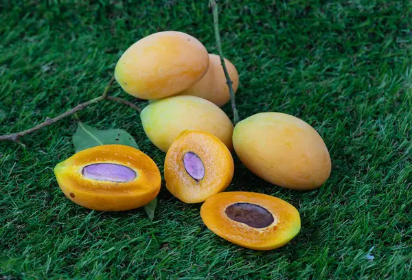 Thai Fruit Maprang Marian Plum — Stock Photo, Image