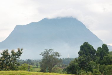 View of the green lawn and The background is a large mountain and fog