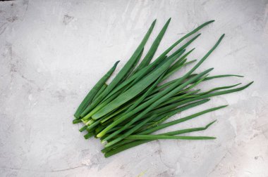 hafif bir arka plan üzerinde yeşil soğan demet