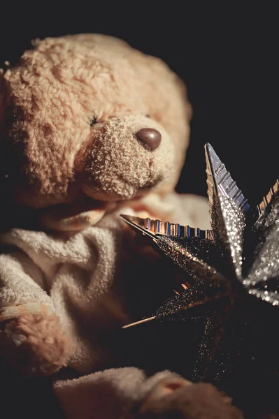 Oyuncak ayı bir Noel yıldızı tutuyor.