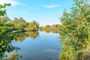 Orman nehir erken güz