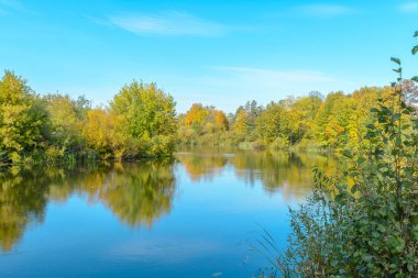 Orman nehir erken güz