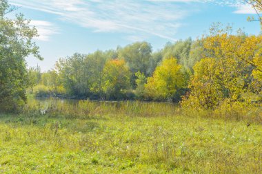 Orman nehir erken güz