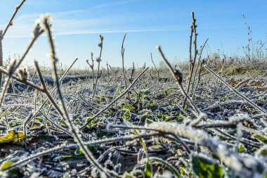 İlk frost, alan içinde Frost, Frost üzerinde bitkiler, Frost ot, yaprak Frost, Frost çayır
