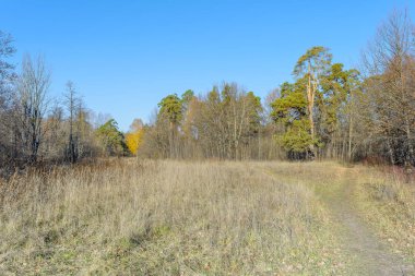 Kuru ot, ormanda yol