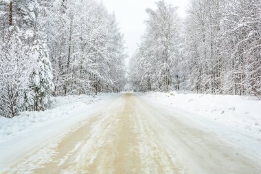 Kış Yolu, Ağaçlar, Filizler ve Çamlar, Kar Günü, Manzara, Soğuk