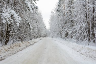 Kış Yolu, Ağaçlar, Filizler ve Çamlar, Kar Günü, Manzara, Soğuk