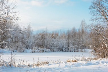 Doğa, Kış Ormanı, Koru, Karda Ağaçlar, Soğuk, Ladin ve Çam, Donmuş Nehir