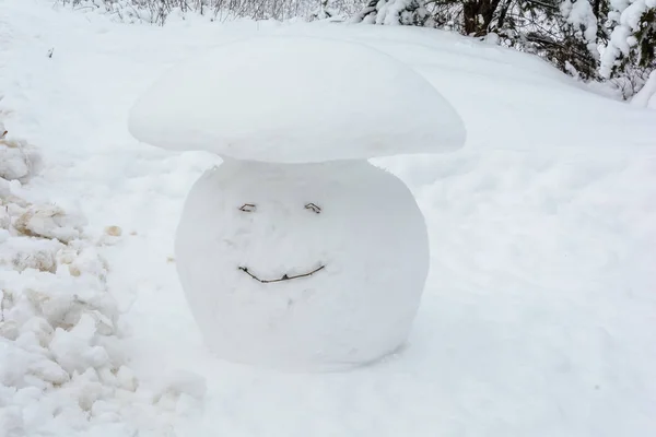 Winterbos Bos Sneeuwpop Sneeuwpop Natuur Koud Mooi — Stockfoto