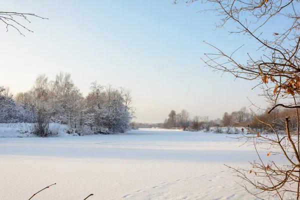 Natureza Floresta Inverno Bosque Árvores Neve Frio Abeto Pinheiro Rio — Fotografia de Stock