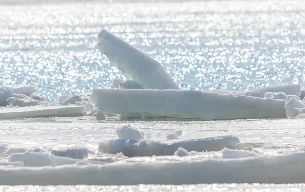 Grandes Pedaços Gelo Rio Durante Deriva Gelo — Fotografia de Stock