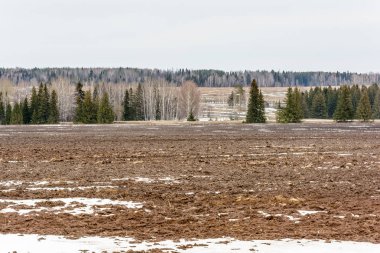 Alanları erken bahar