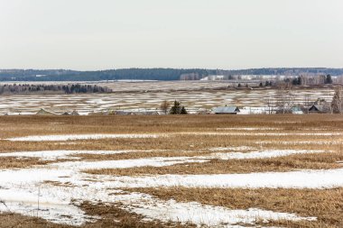 Alanları erken bahar