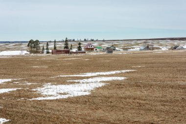 Alanları erken bahar