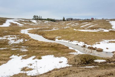 Alanları erken bahar
