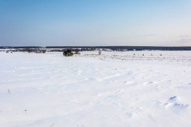 Karla kaplı alan yakınındaki ormanda kış