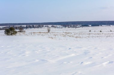 Karla kaplı alan yakınındaki ormanda kış