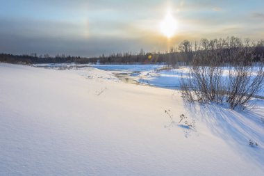 Orman soğuk güneşli bir bahar akar