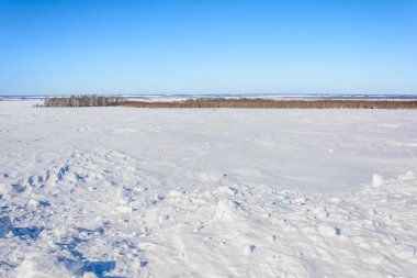 Kışın karla kaplı tarla