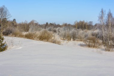 Kışın forest yakınındaki karlı tepeleri