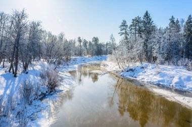Ormanın kışın sıcak bir dere akar