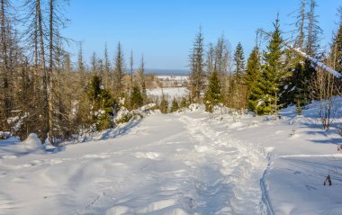 Karlı kış güneşli gün tepelerde