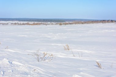 Karla kaplı alan yakınındaki ormanda kış