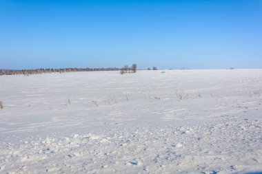 Karla kaplı alan yakınındaki ormanda kış