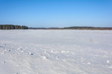 Karla kaplı alan yakınındaki ormanda kış