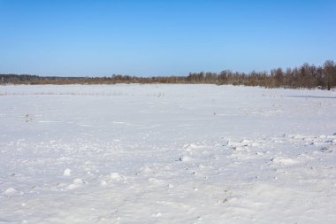 Karla kaplı alan yakınındaki ormanda kış