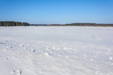 Karla kaplı alan yakınındaki ormanda kış