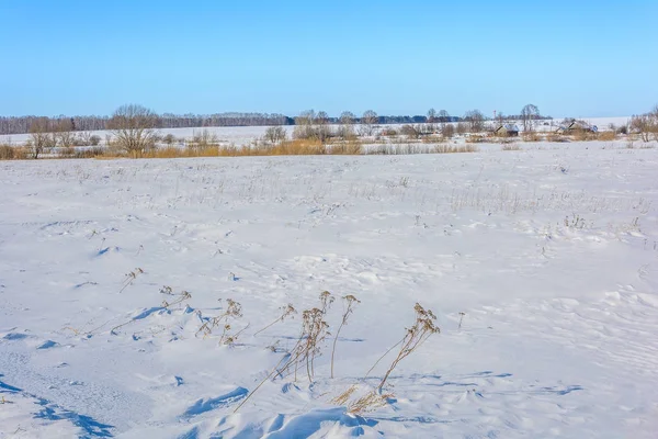 Villaggio Innevato Vicino Campo Inverno — Foto Stock