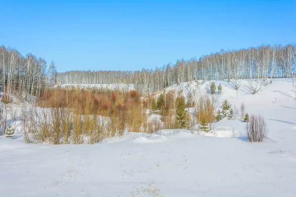 Collines Enneigées Près Forêt Hiver — Photo