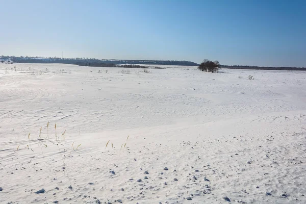 Karla kaplı alan yakınındaki ormanda kış