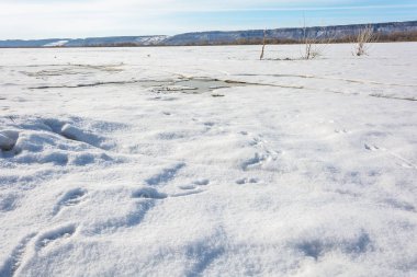 Güneşin sıcak bahar ışınları altında kar