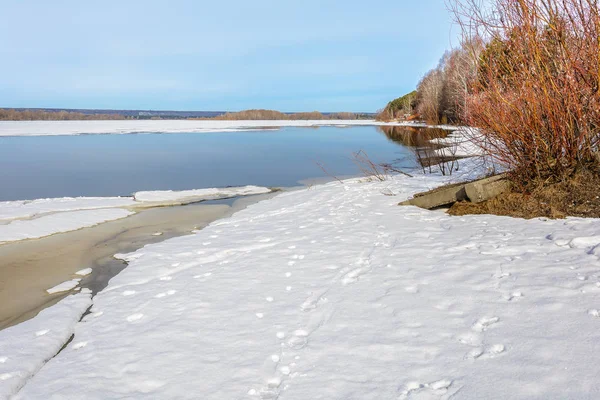 Nehir Plaj Erimiş Kar Buz Ile Baharda Sular Altında — Stok fotoğraf