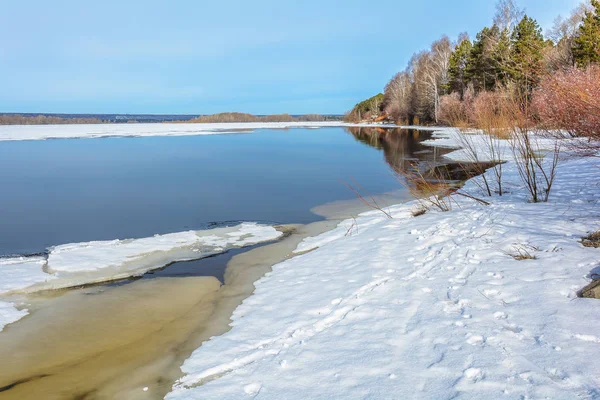 Pláži Řeka Zaplavila Jaře Tání Sněhu Ledu — Stock fotografie