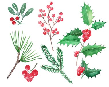 Koymak Noel öğeleri, kırmızı meyveler, holly, misletoe, elle çizilmiş illüstrasyon, suluboya, izole. Arka plan, desen dolgularını, web sayfası, paketi, duvar kağıdı için kullanılabilir.