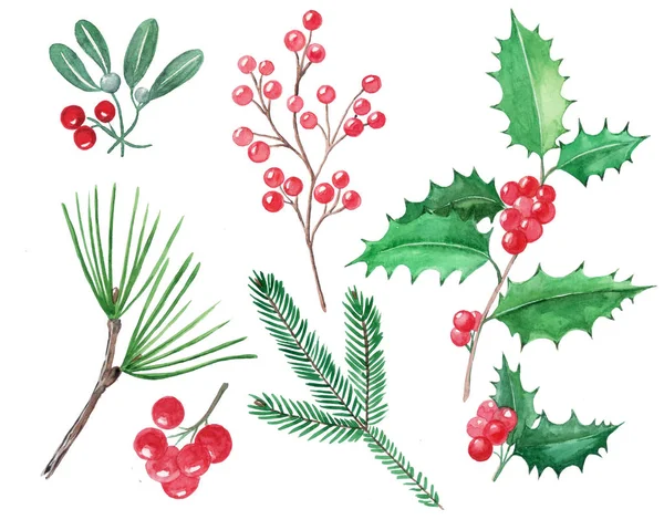 Set Von Weihnachtselementen Rote Beeren Stechpalme Misletoe Handgezeichnete Illustration Aquarell — Stockfoto