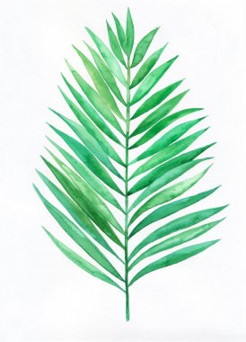 Suluboya palmiye yaprağı