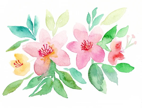 보헤미안 핑크 꽃 — 스톡 사진