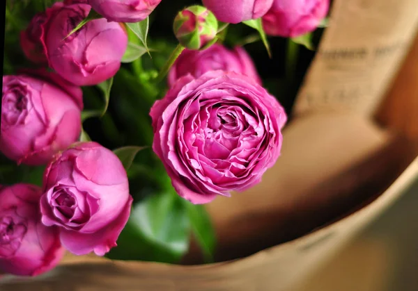 Hermosa rosa en forma de pión rosa. Ramo Rosas arbustivas . — Foto de Stock