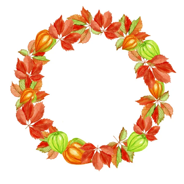 Wreath of grape leaves and physalis. Watercolor illustration iso — Stock Photo, Image