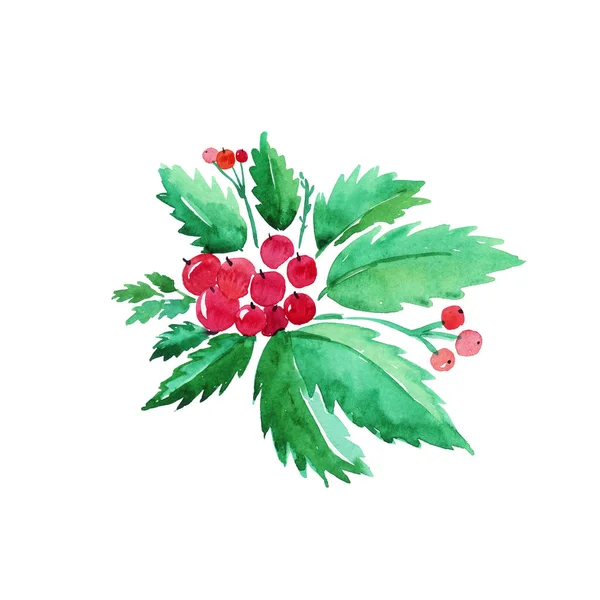 冬青的圣诞枝条，白色的红色浆果。 水彩画 — 图库照片