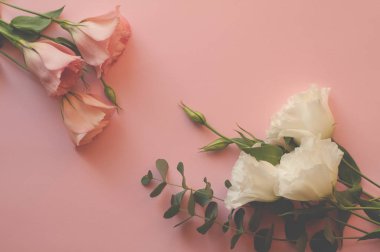 Yeşil yapraklarla çiçeklenmiş güzel pembe Eustoma çiçeği (lisianthus). Pembe arka planda buket.