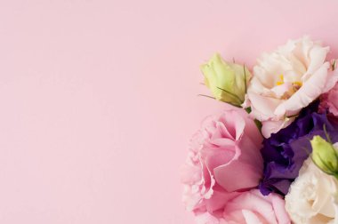 Güzel pembe, mor ve beyaz Eustoma çiçeği (lisianthus) 