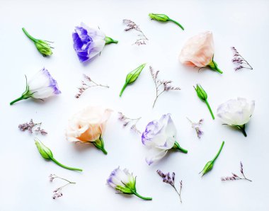 Çiçeklerin arka planı, mutluluk tomurcukları ve dallar. Çiçek arka planı