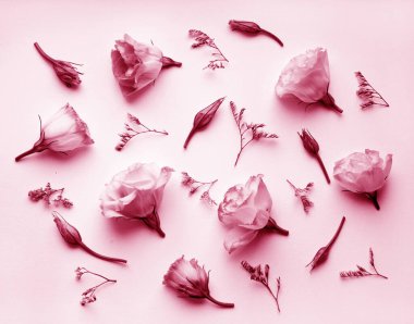Çiçeklerin arka planı, mutluluk tomurcukları ve dallar. Pembe renkli çiçek arkaplanı.